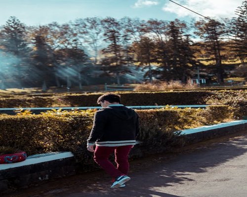 Person walking in a sunny park